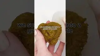 someone Pulled Bear Mace on Us (Part 2)