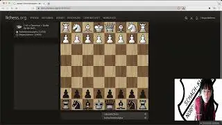 Bulletschach: Schnelles Matt