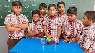 Heart pump working model