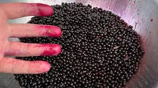 Elderberry Syrup Recipe