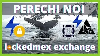 🐳🧙&zwj;♂️ Schimb ITHEUM cu LKMEX și c&acirc;ți bani am făcut pana acum din Refferal pe LockedMex Exchange?