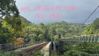 동갑내기 쀼 대만 여행 2일차 ❤️ (1일 버스투어/예류지질공원/스펀/스펀폭포/지우펀/진과스) 