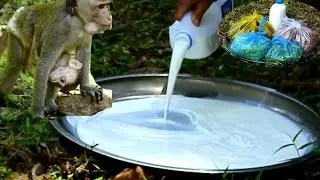 bring some food and milk to feed abandon Elpida and also Mohanokor troop