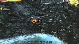 Dimensional Boss Event Glitch