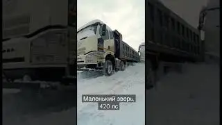 Faw 8x4 420 лс #faw #самосвал #китайскийсамосвал #фав