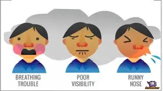 Effects of haze