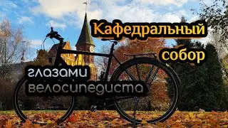 Калининград, Кафедральный собор. Золотая осень. Kneiphof.