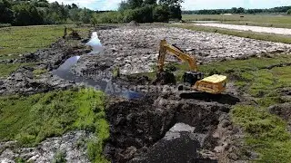 Massachusetts cranberry bogs get a second life as vibrant wetlands that benefit environment
