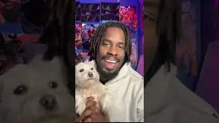 Swizze Sensei & Chill