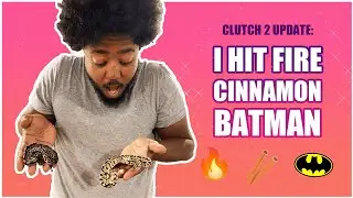CLUTCH 2 of the 2022 ball python season update *(CRAZY)*