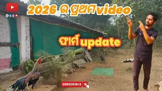 //2026 ର ପ୍ରଥମ video//Ap Aasel farm angul 🏡#ସମସ୍ତଙ୍କୁ ଅନେକ ଅନେକ ଶୁଭେଚ୍ଛା ଶୁଭକାମନା #vairalvideo 