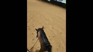 Spin A Horse With Meta Glasses. #horse #reining #reininghorse