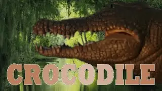 CROCODILE [2000] - Movie Tribute