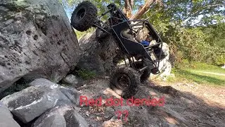 Red dot lsx buggy met it&rsquo;s Match??
