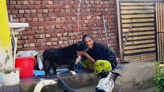 Real Happiness with My Paw Family | LCP Pawlife