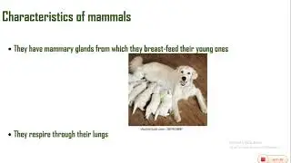 uniqueness of man  Basic science lesson for junior high school 2