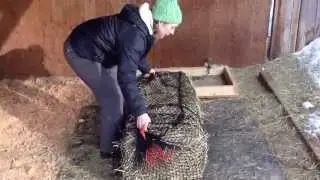 Using a Handy Hay Net bale bag with a box set up.