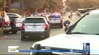 Metro reports increase in domestic violence, mental distress calls
