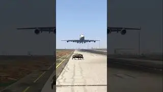 A Wild Boar Accidentally Runs Onto the Runway During Boeing Plane Landing | GTA V