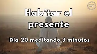 Day 20 Meditating for 3 minutes