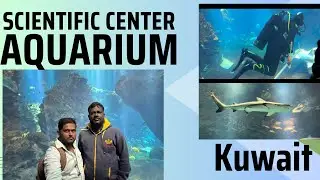 Scientific Center | Aquarium Kuwait Must visiting Place.