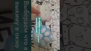 28 сентября 2024 г.