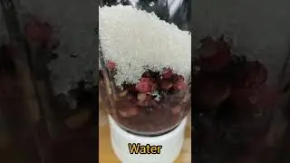 Falsa Sharbat Recipe | falsa Squash| Falsay Juice  #shorts #recipe #streetfood #short #shortvideo