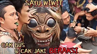 DUA JOKI MACAN LEGEND CAK BUS & CAK JAKI MACAN MACANAN SAYU WIWIT || LIVE WATU ULO