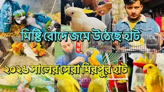 মিষ্টি রোদে জমজমাট ২০২৬ Mirpur Hatt। ১৬/১/২৬,শুক্রবার পাখির হাট।