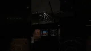 Zurich Rainy Firm Landing - Airbus A320 # #aviation #msfs2024 #shorts   #aviation #landing