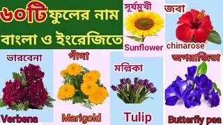 ৬০ টি ফুলের নাম বাংলা ও ইংরেজিতে, 60 Flowers Name With Pictures Bengali & English For Kids,