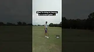 What Do Scratch Golfers Do To Improve Their Game? ⛳️
