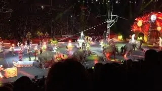 CIRCUS EXTRAVAGANZA