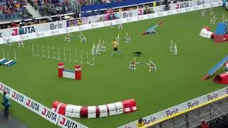 AWC 2017 NEELA Jouni Orenius Agility Large Individual, Liberec