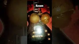 कुसुम का फल || fruit of kusum #shorts #YouTubeshorts #vairalshorts #kusumshorts