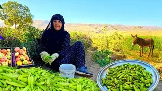 Village life in Iran | Harvesting Organic Okra and Cooking traditional Okra stew | ILAM 