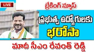 తెలంగాణలో ఉద్యోగులకు ప్రభుత్వం భరోసా telangana employees latest update today 