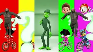 Wrong eyes👀 NEW EPISODES/ Sheriff Labrador x Rocky & BabyBoss Puzzle Wrong HeadsEYE PUZZLE WORLD