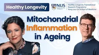 Mitochondrial Inflammation in Ageing | Professor Thomas Langer