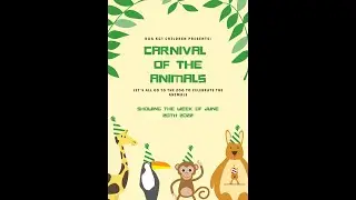 DAA - ES - KG1 NF - CARNIVAL OF THE ANIMALS 2022 - MUSIC SHOW