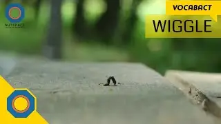 Wiggle Meaning | VocabAct | NutSpace
