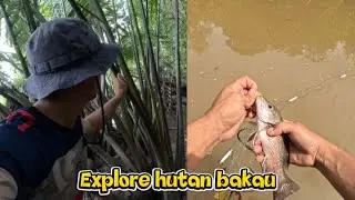 Tempantya nampak seram dihuni gorgon bakau