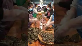 Inside the Traditional Frog Market: Culture, Trade, and Daily Practices@muhammadarif-ai