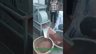 Wind Winnowing 2.0: Auto Grain Machine Sorting Sorghum in 60 Sec!
