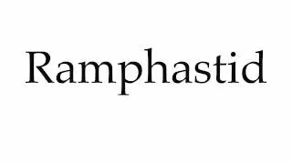 How to Pronounce Ramphastid