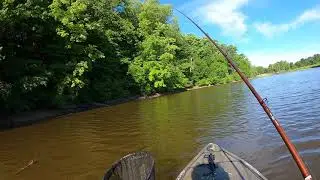 fishing Christie conservation area Hamilton Ontario