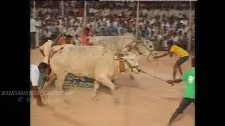 2015 Tadipatri 