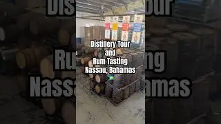 Distillery Tour & Rum Tasting Nassau Bahamas 🇧🇸 #JohnWatlings #NassauBahamas #RumTasting #travel
