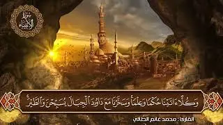 ما تيسر من سورة الانبياء بصوت القارئ محمد غانم الطائي