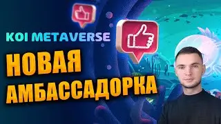 KOI METAVERSE обзор - Новая амбассадорская программа Дедлайн 30.12